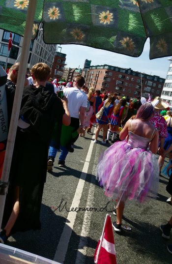 Karneval Aalborg Kostüme